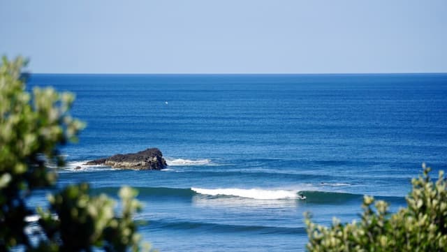 Muriwai beach surf cam