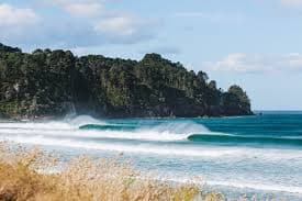 Coromandel surf cams