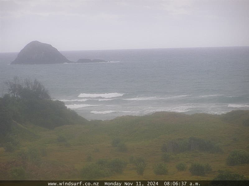 Muriwai Surf Cam