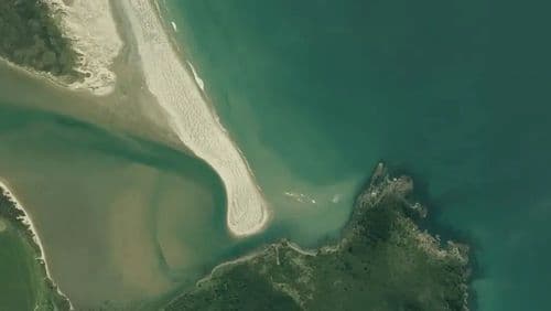 Live Okiwi (GBI) surf cam showing spot conditions.