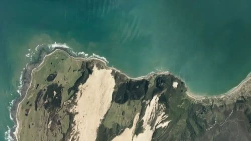 Live Shippies surf cam showing spot conditions.